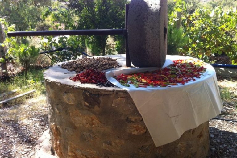 IMG 1359 e1521801628927