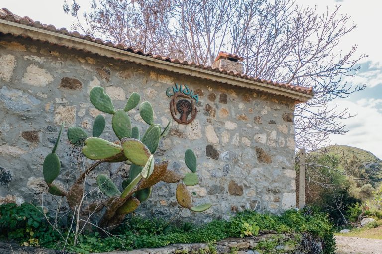 DSCF0090 22 58 58 scaled