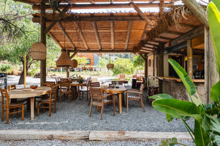 DSCF3890 23 09 39 3 scaled